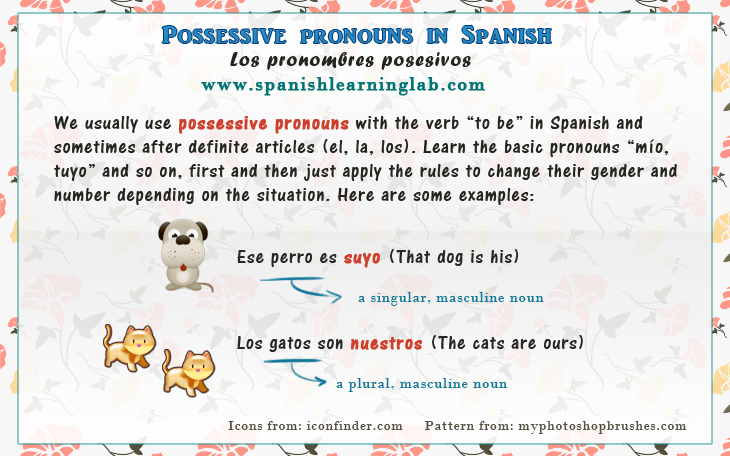 Spanish Possessive Pronouns Chart Sentences SpanishLearningLab