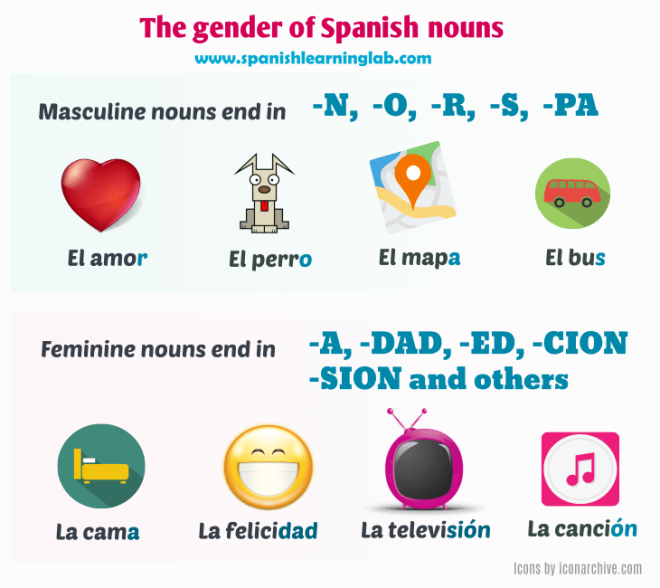 the-rules-for-masculine-and-feminine-nouns-in-spanish-spanish-learning-lab
