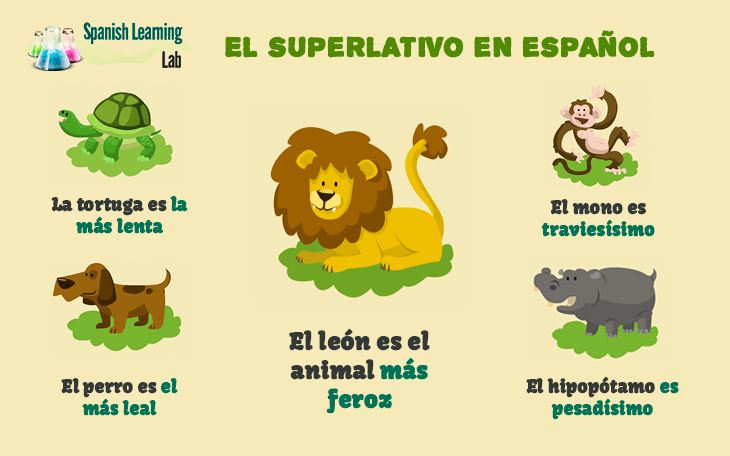 Cómo Formar El Superlativo En Español Ejemplos Y Ejercicios Spanish