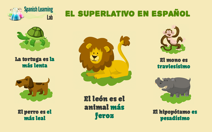 Superlatives In Spanish Rules Examples And Practice SpanishLearningLab