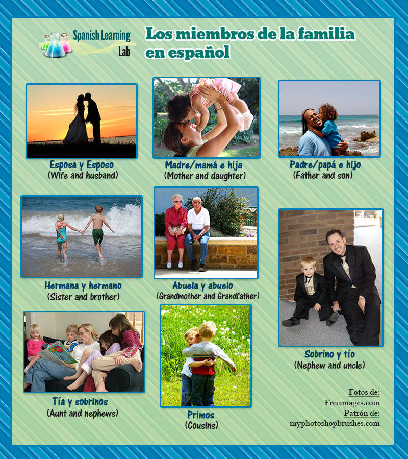 Los Miembros de la Familia en Español: Lista y Oraciones -  SpanishLearningLab