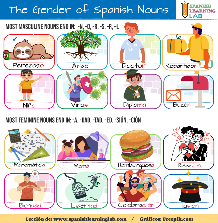 SPANISH GENDER: Masculine, Feminine, and Beyond