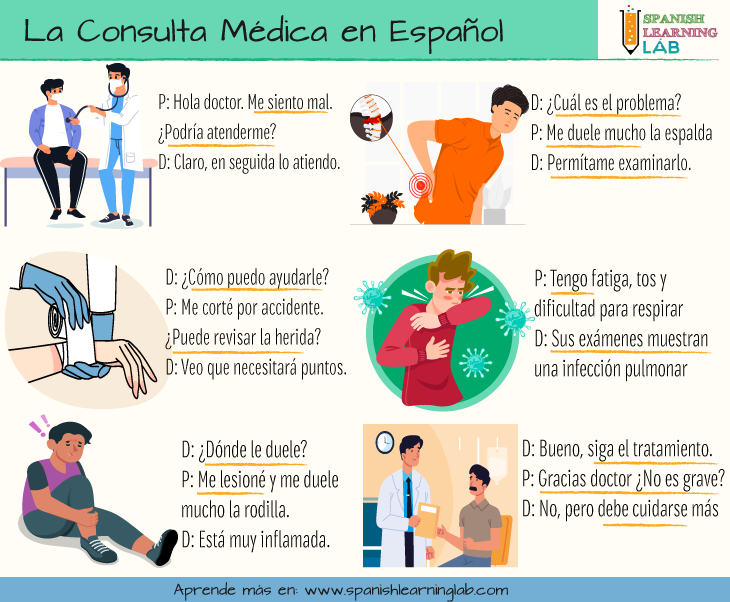 Las Partes del Cuerpo en Español: Frases y Actividades de Escucha - Spanish  Learning Lab
