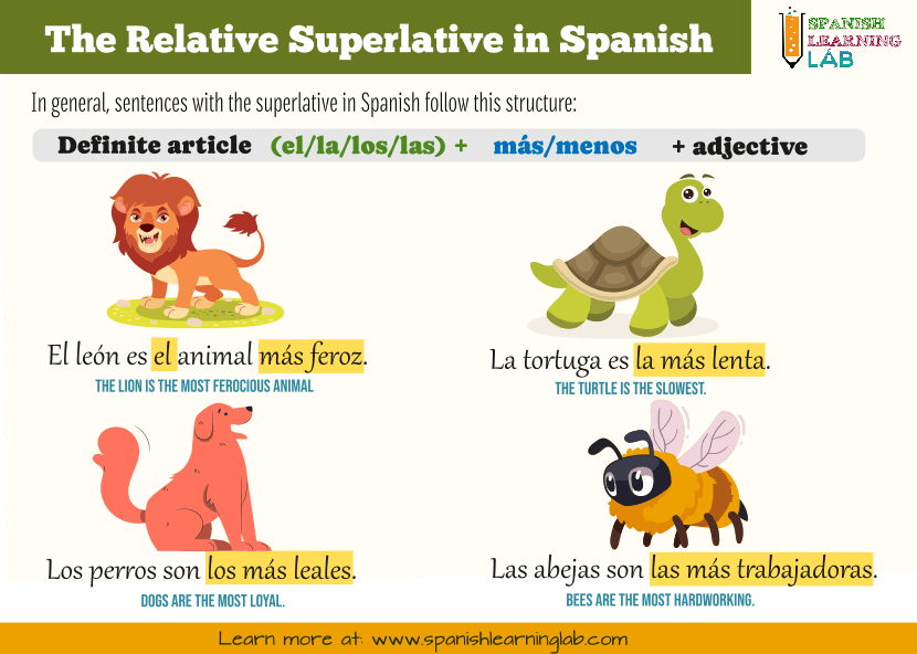 The grammar rules to form sentences with the relative superlative in Spanish