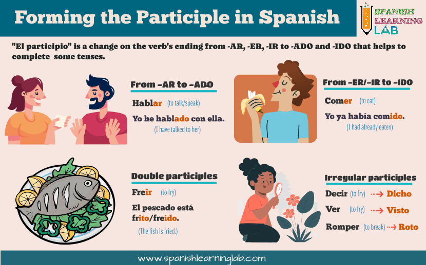 The rules to form the past participle in Spanish or "el participio"